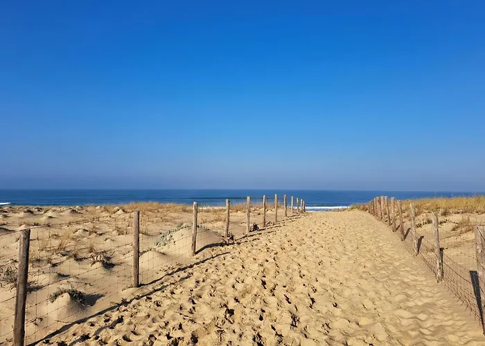 In With Kitchen 펜션 Léon